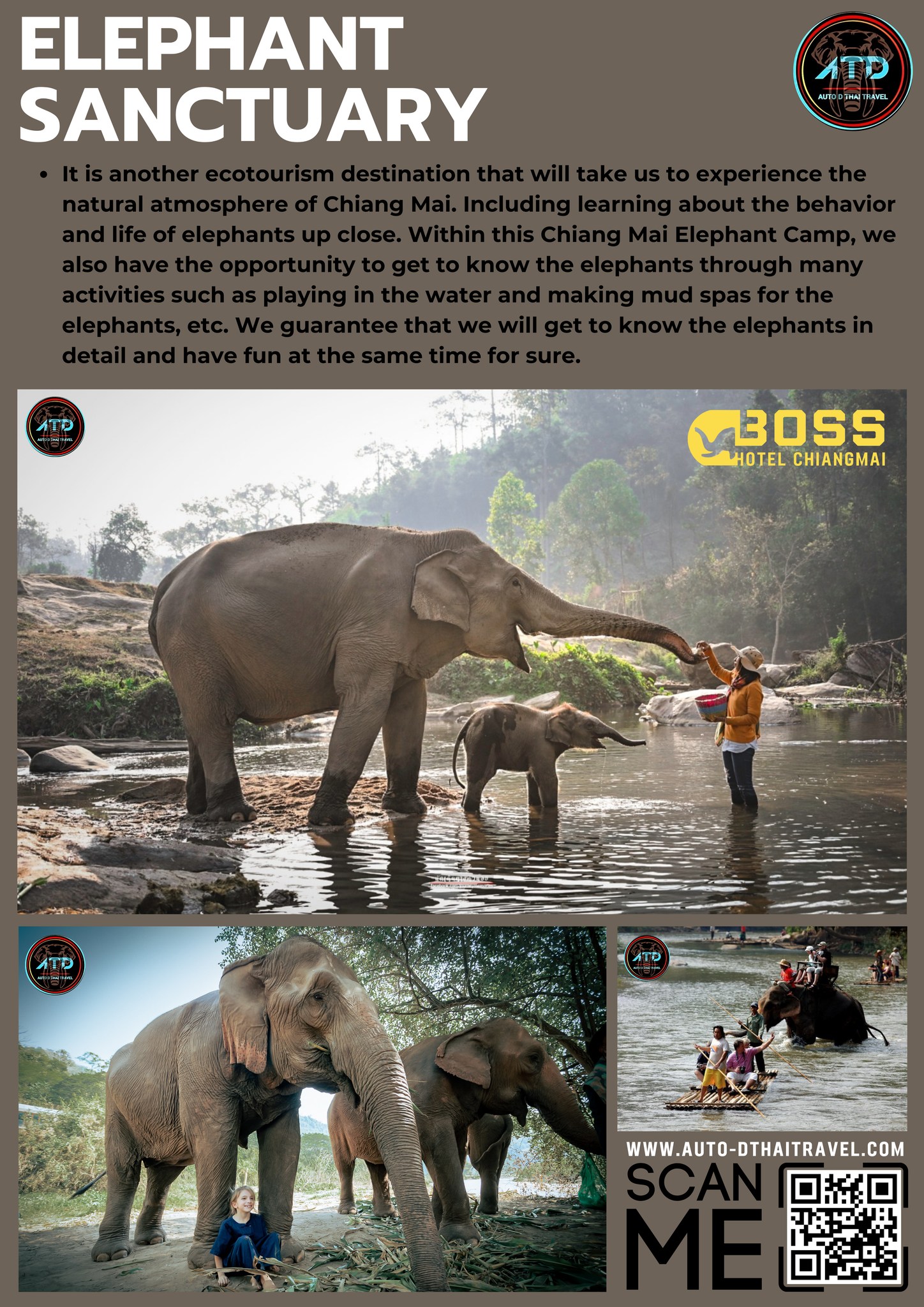 Elephant Sanctuary Chiang Mai คือ