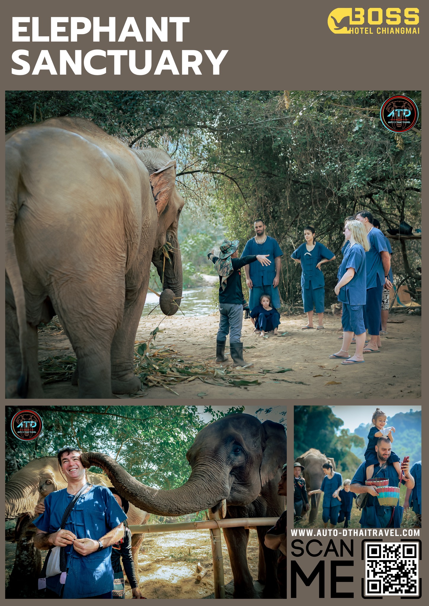 Elephant Sanctuary Jungle Chiang Mai