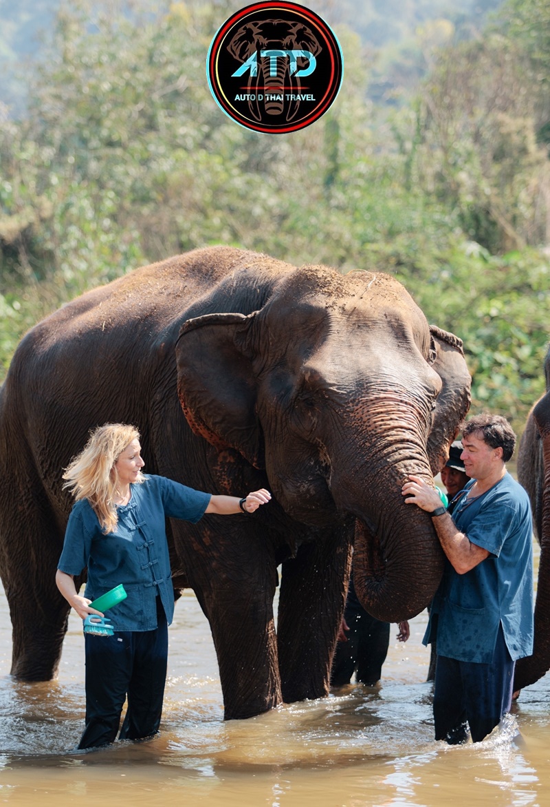 Tour Elephant Sanctuary Chiang Mai
